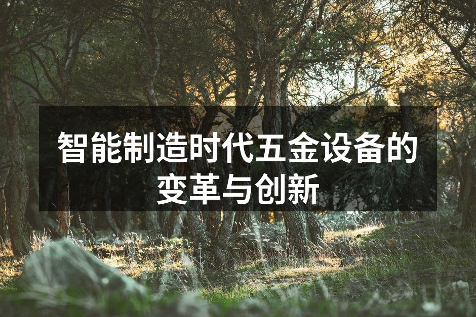五金设备智能化生产线示意图