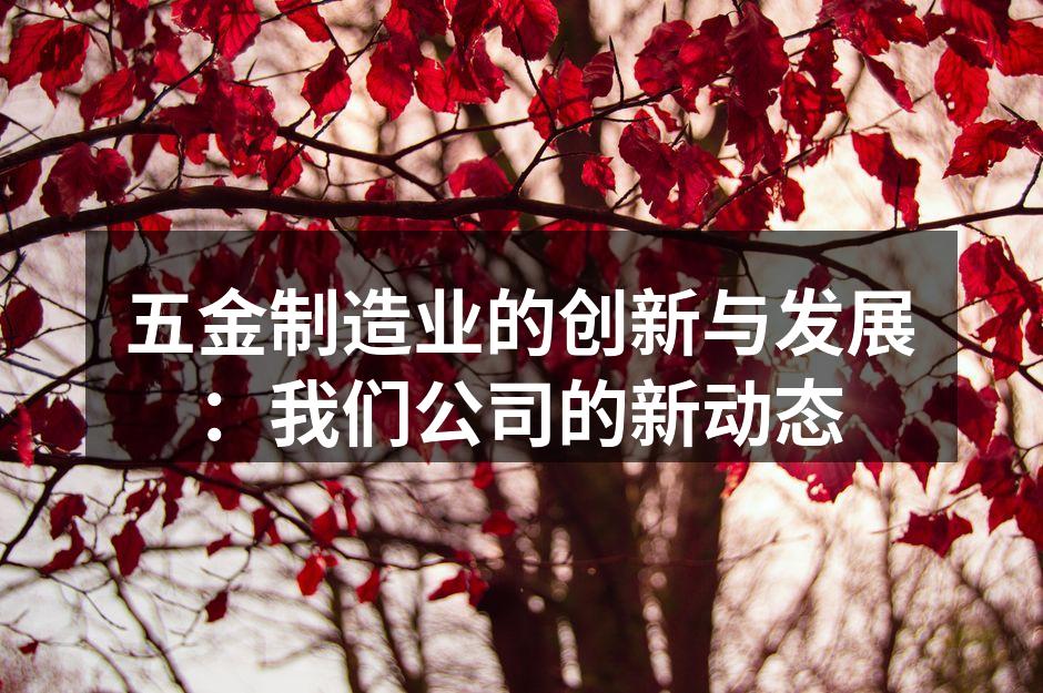 我们最新研发的五金工具系列